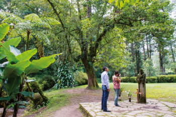 Stroll Around the Gardens at Casa del Monje