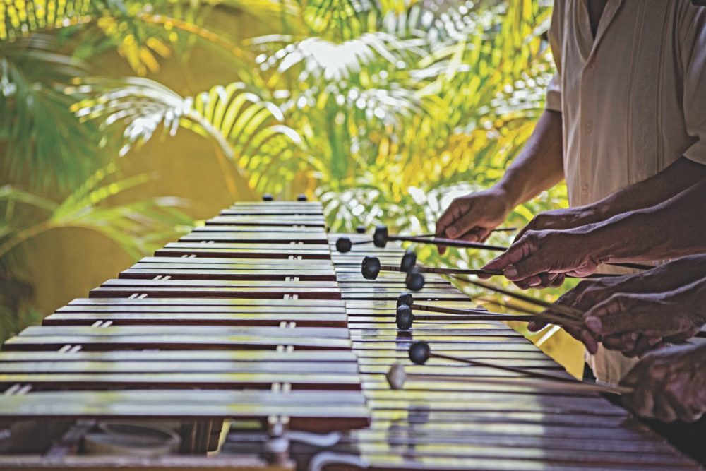 Marimba Nandayapa House Museum Escapadas