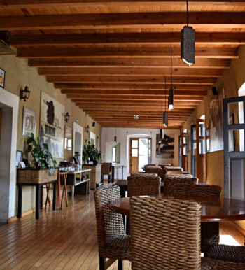 El Rincón del Viejo