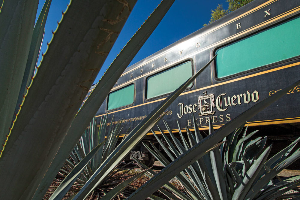 Recorre Tequila en el José Cuervo Express Escapadas