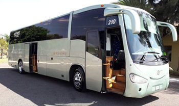 Guanajuato Tours Ejecutivo