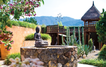 Visit Ollinyotl Holistic Center