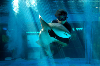 Mazatlán Aquarium