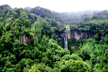 Sendero a la cascada de Puxtla