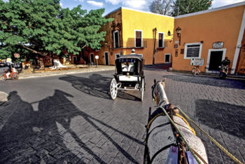 Tour the Town by Carriage or Bike