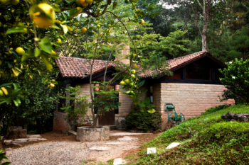 La Galerita de San Sebastián