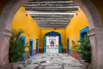 Tour de mezcalería