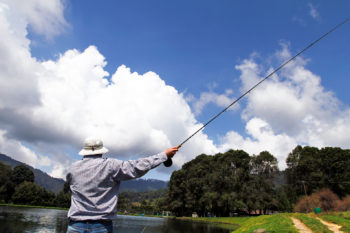 Take the Bait and Go Fishing