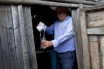 See How Pulque is Made