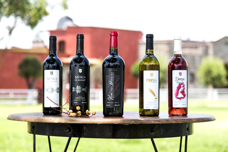 Follow the Wine and Cheese Route Escapadas