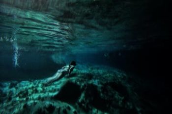 Descubre los Cenotes en la profundidad de la jungla.