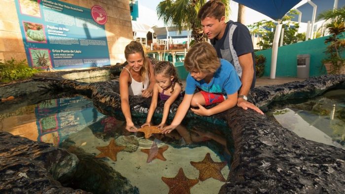 Interactive Aquarium of Cancun