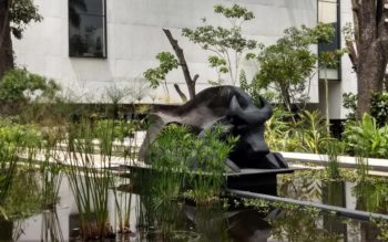 Juan Soriano Museum of Contemporary Art