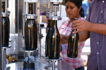 Try the Wines at Casa Bichi