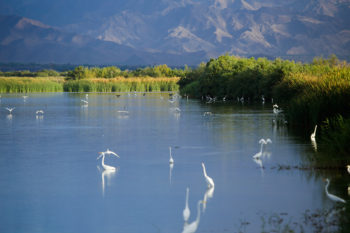 Take a 4×4 trip through the Sierra Cucapá hills and escape to the salt flats of the Laguna Salada