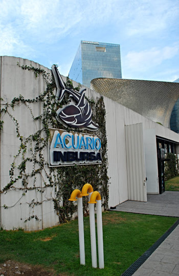 Venture Underwater in the Acuario Inbursa