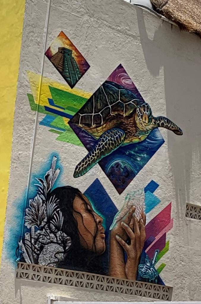 Sea Walls-Cozumel-mujer-tortuga-caracola