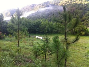 Visita Amojileca y disfruta su granja