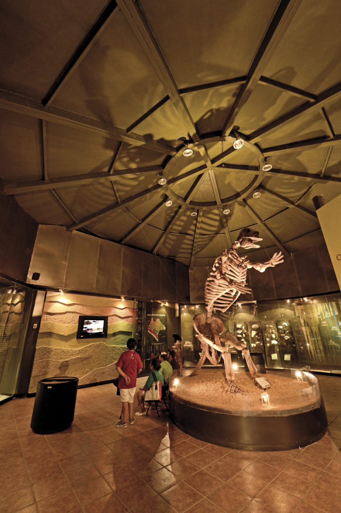 Museo de la Paleontología