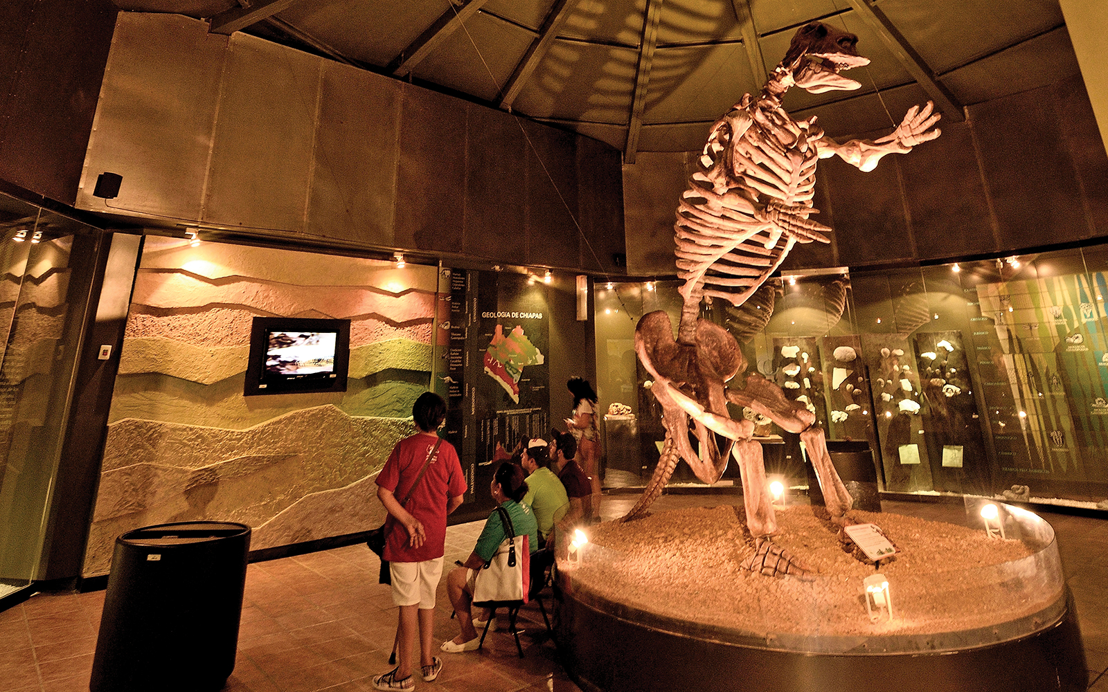 Museo de Paleontología