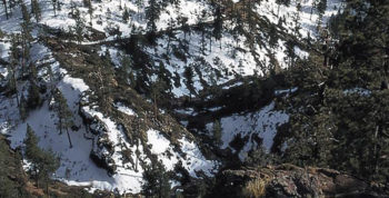 Sierra de San Pedro Mártir National Park