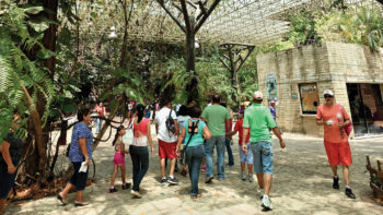 Go on a Family Trip to Zoomat