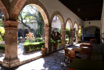 Visit the Conservatorio de las Rosas