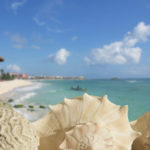 Sea shells in Playa del Carmen Quintana Roo