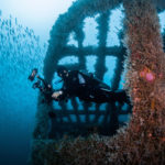 Explore-Underwater-Kingdom-Veracruz
