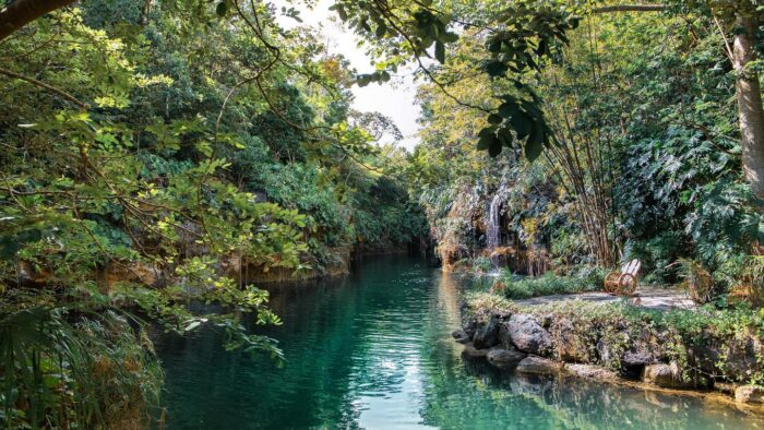 cenote la orquídea