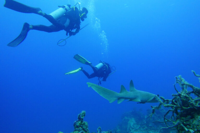 diving spots in Quintana Roo