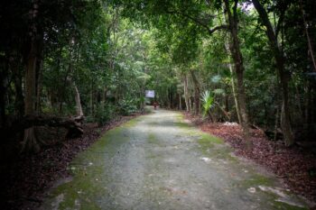 Alfredo Barrera Marin Botanical Garden