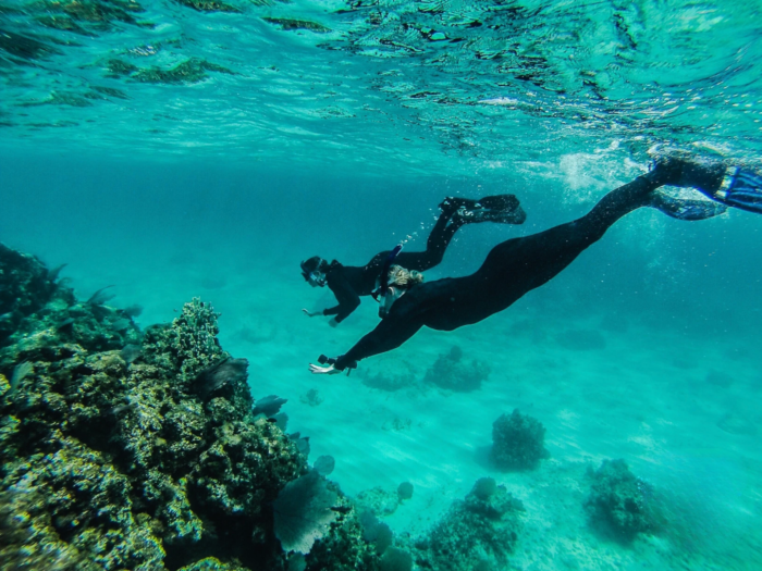 Cozumel Pearl Farm Escapadas