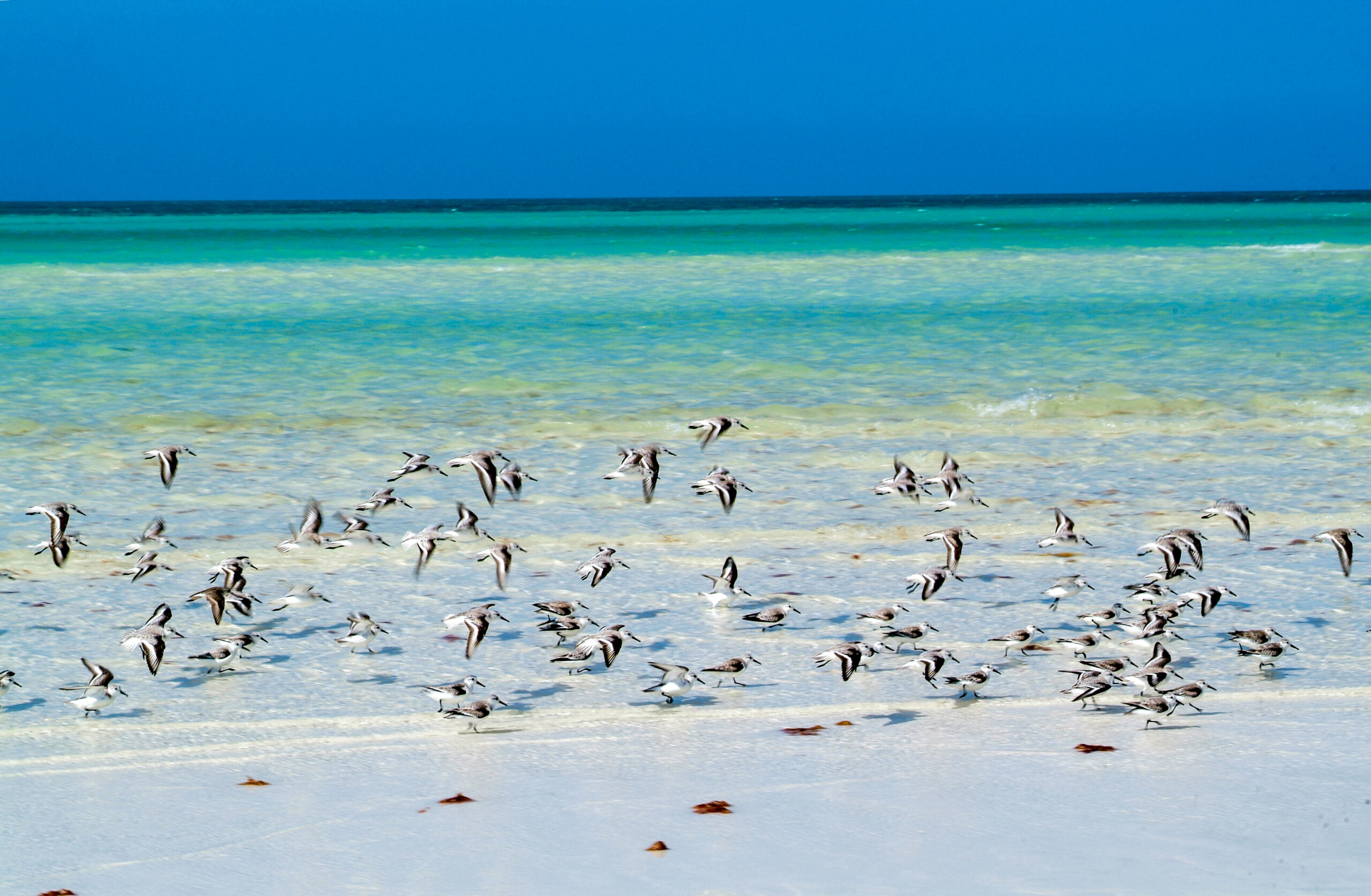 Playa Punta Cocos