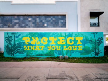 A Stroll through San Miguel de Cozumel and its Murals