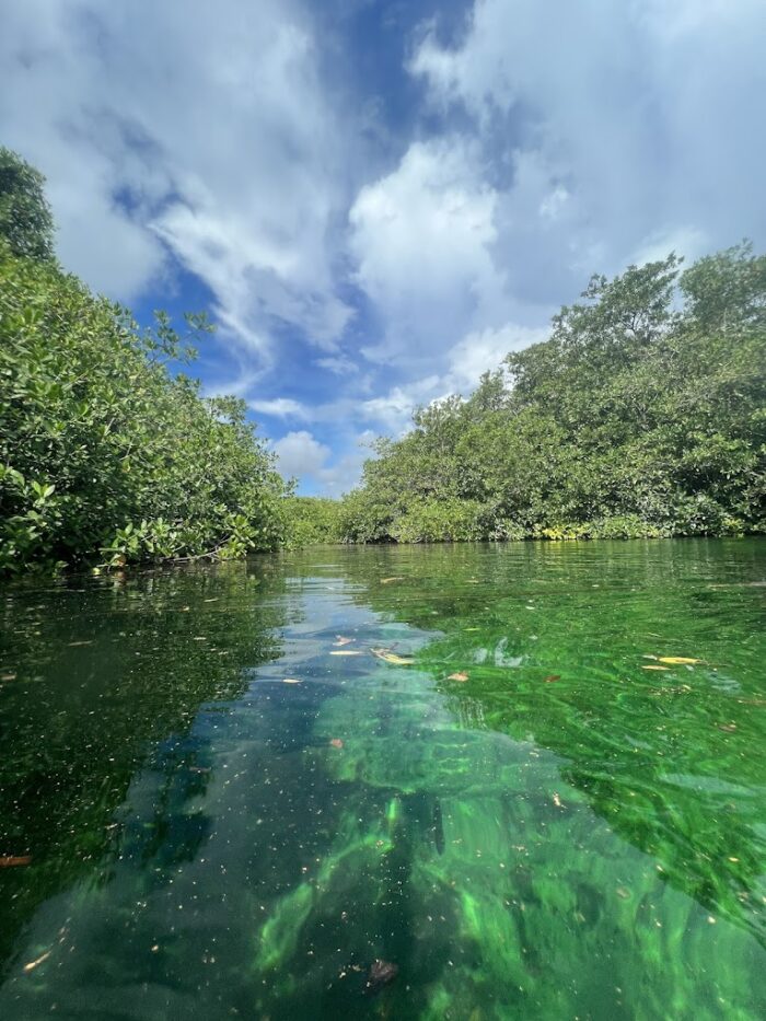 Cenote Manatí