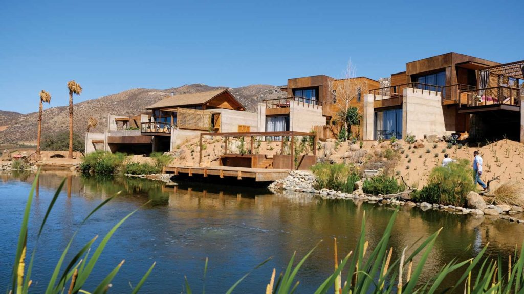 Valle de Guadalupe: The Elixir of Baja California’s Land