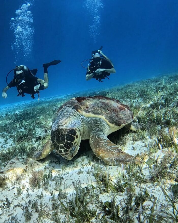 Sol y playa en el Caribe mexicano