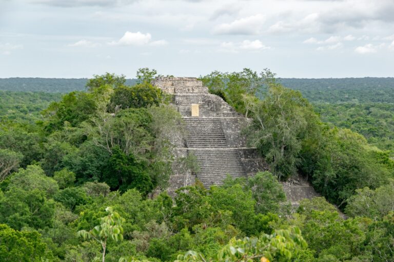 Calakmul: The Kingdom of the Mountain and the Jaguar