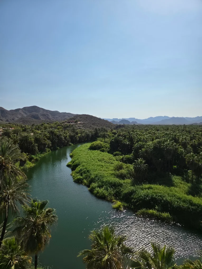Oasis, History, and Nature in Mulege