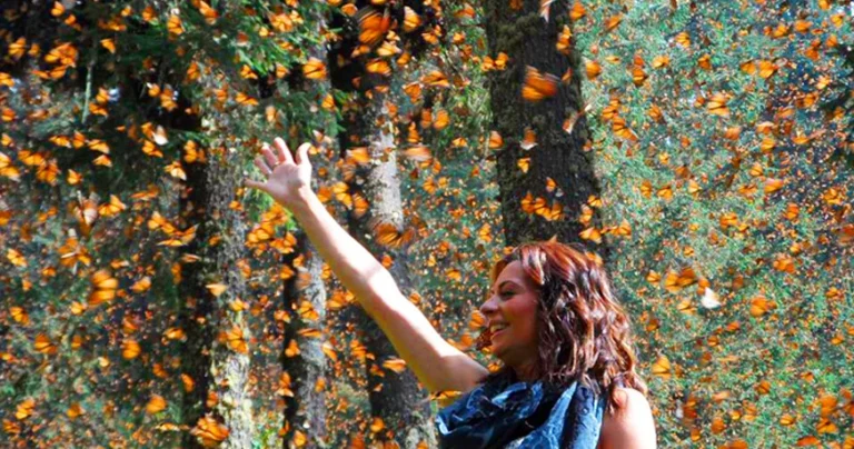 The Flight of the Monarch: An Ancestral Migration in Michoacán