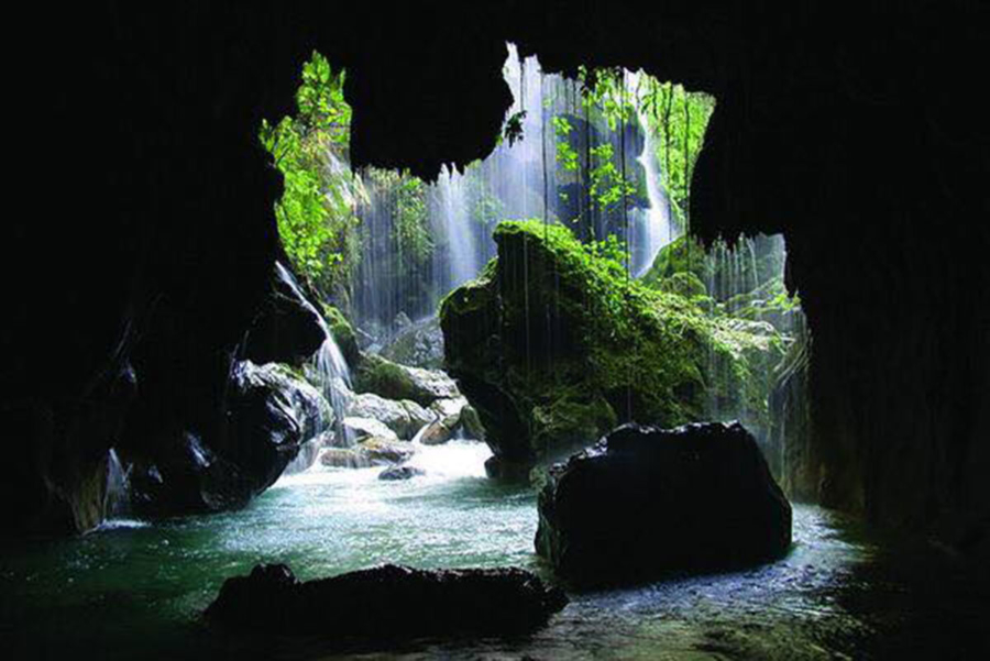 Vive la experiencia como local