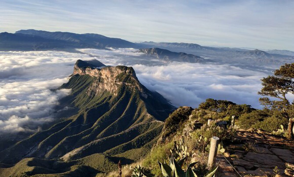 Sierra Gorda: el refugio de niebla y piedra sagrada