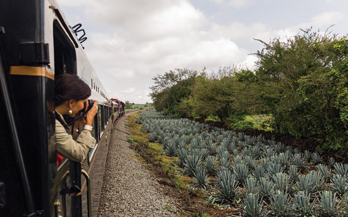 The Tequila Route: Jalisco’s Blue Landscape