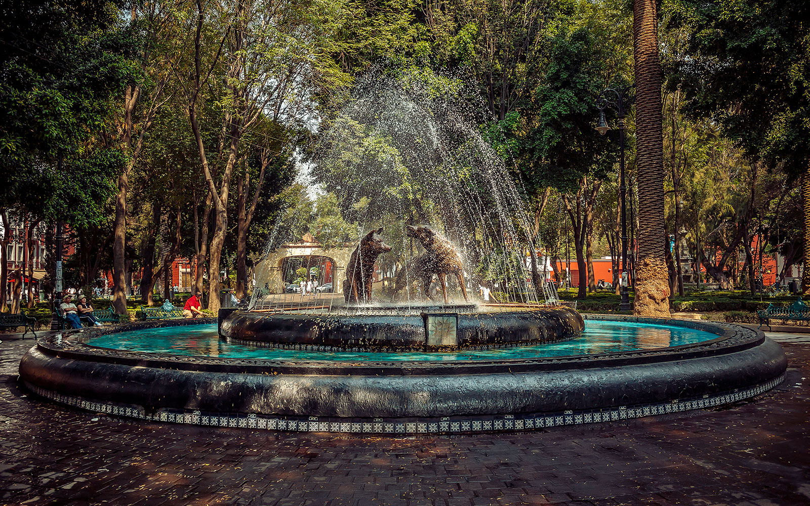 Coyoacán