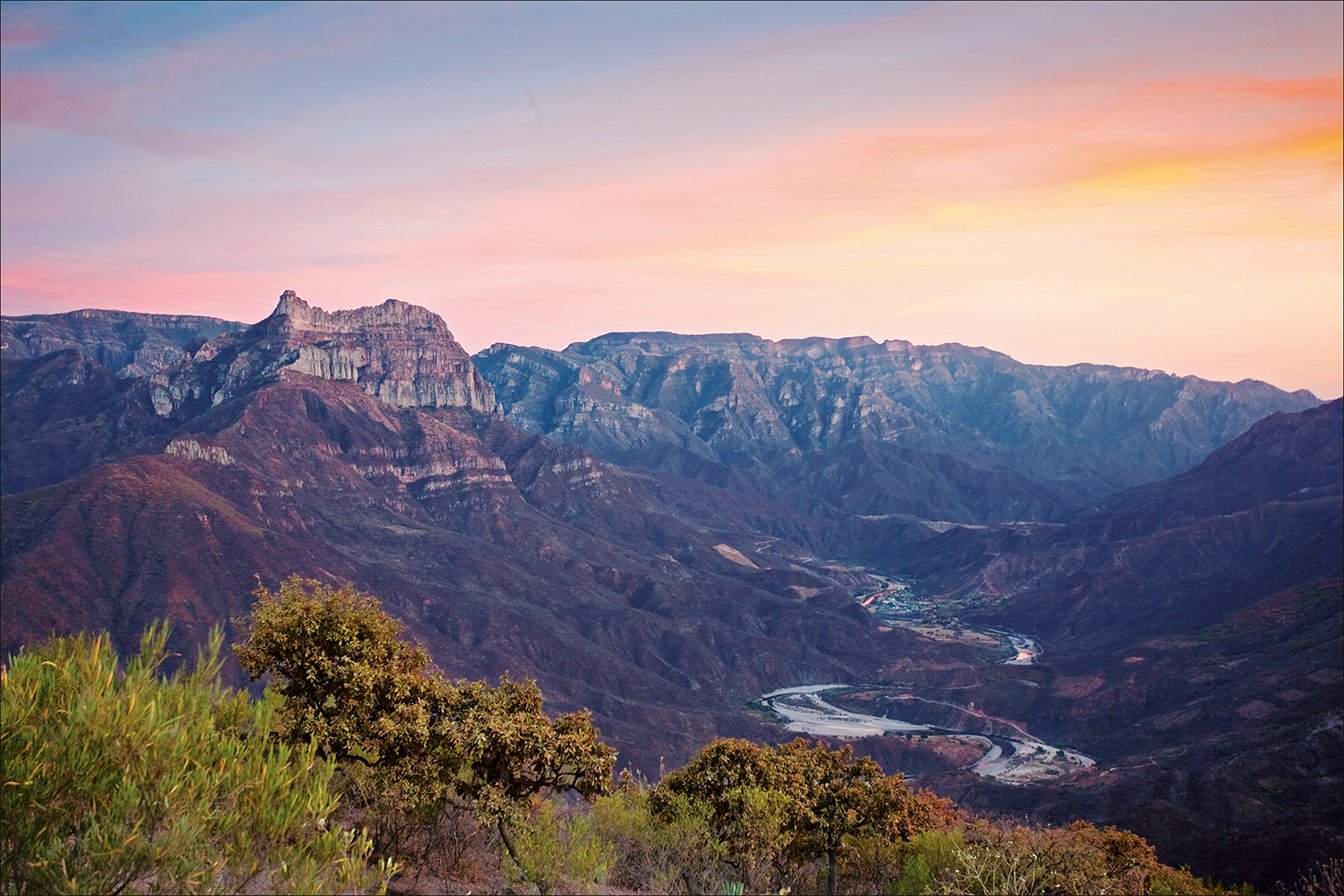 Insider's Perspective