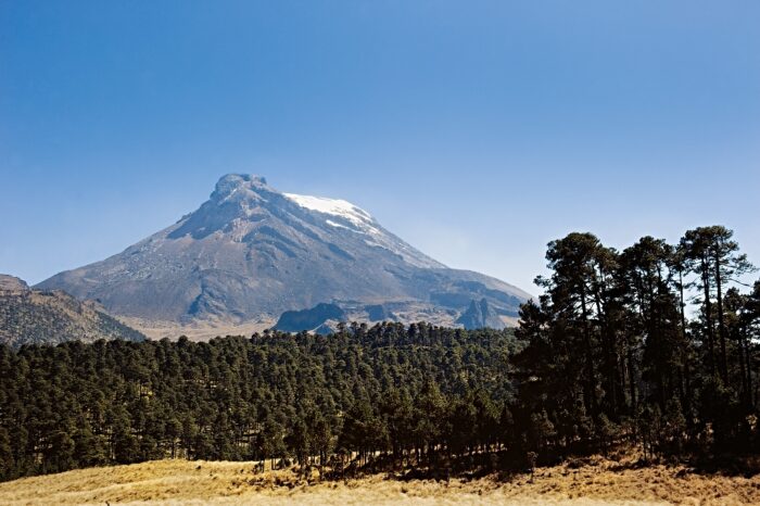 Monarch Butterfly Season