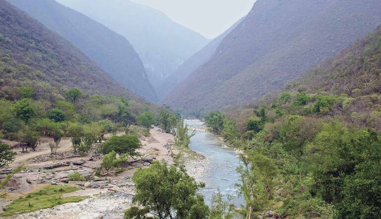 Sierra Gorda: The Sanctuary of Mist and Sacred Stone