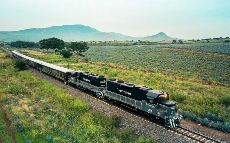 The Tequila Route: Jalisco’s Blue Landscape