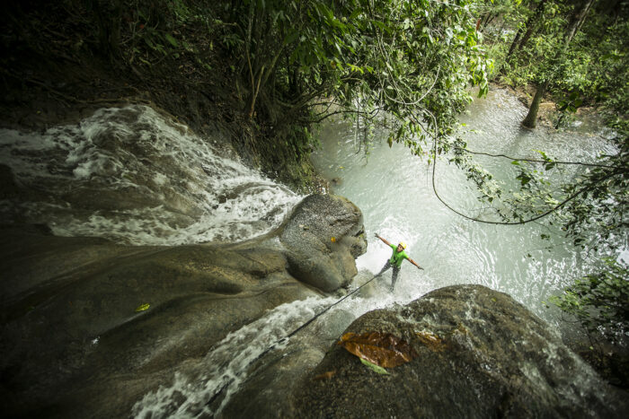 Mexico’s Palo de Rosa Season